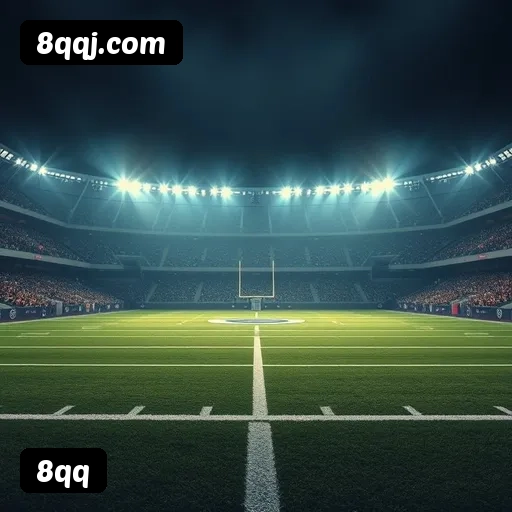 Níveis do programa VIP da 8qq